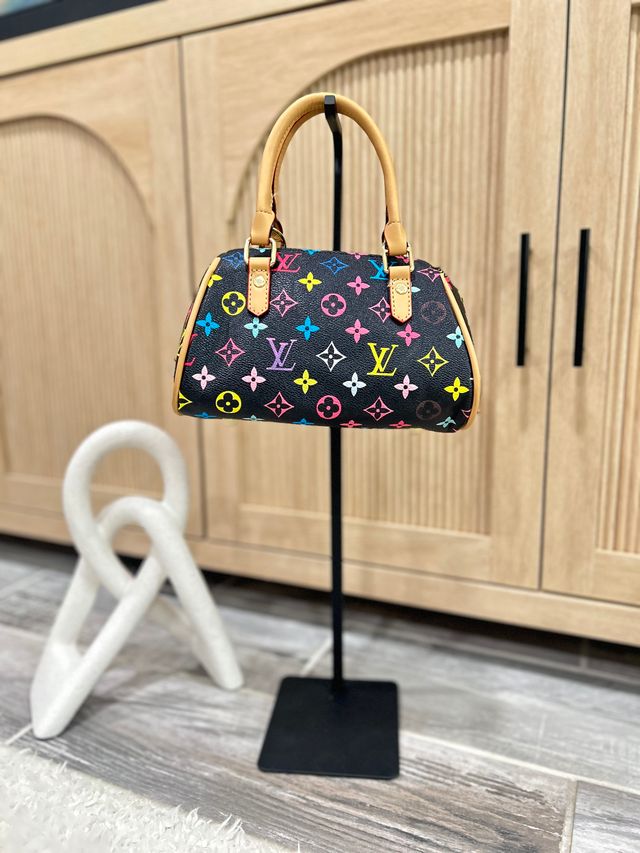 Mini Multicolour Monogram Speedy Satchel Bag